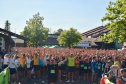9. Firmenlauf Neumarkt